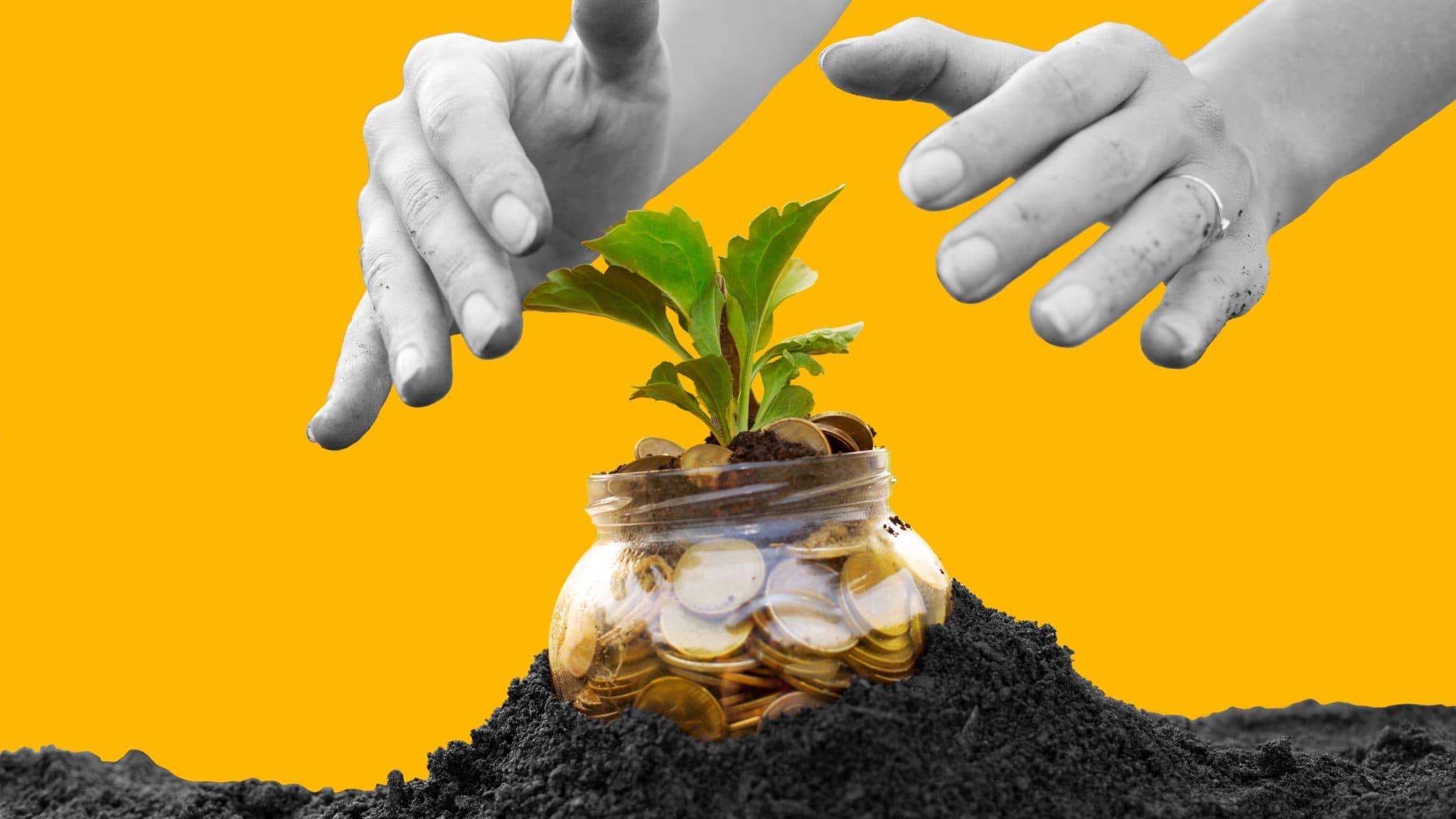 Video Marketing Grow Business